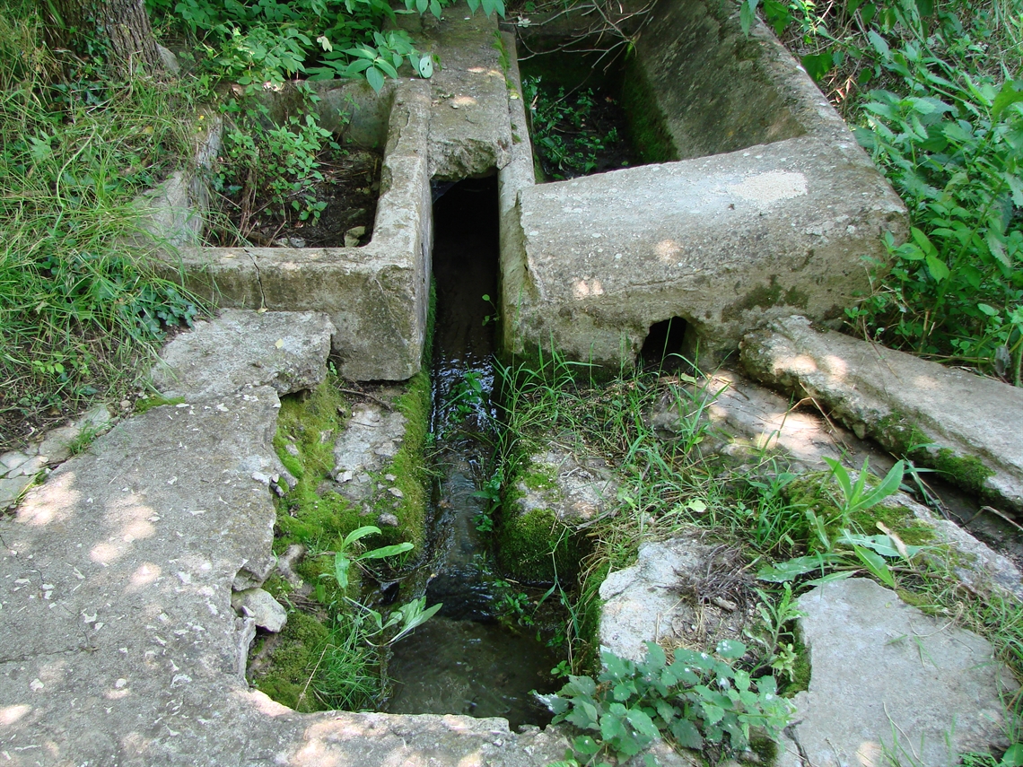 Image description